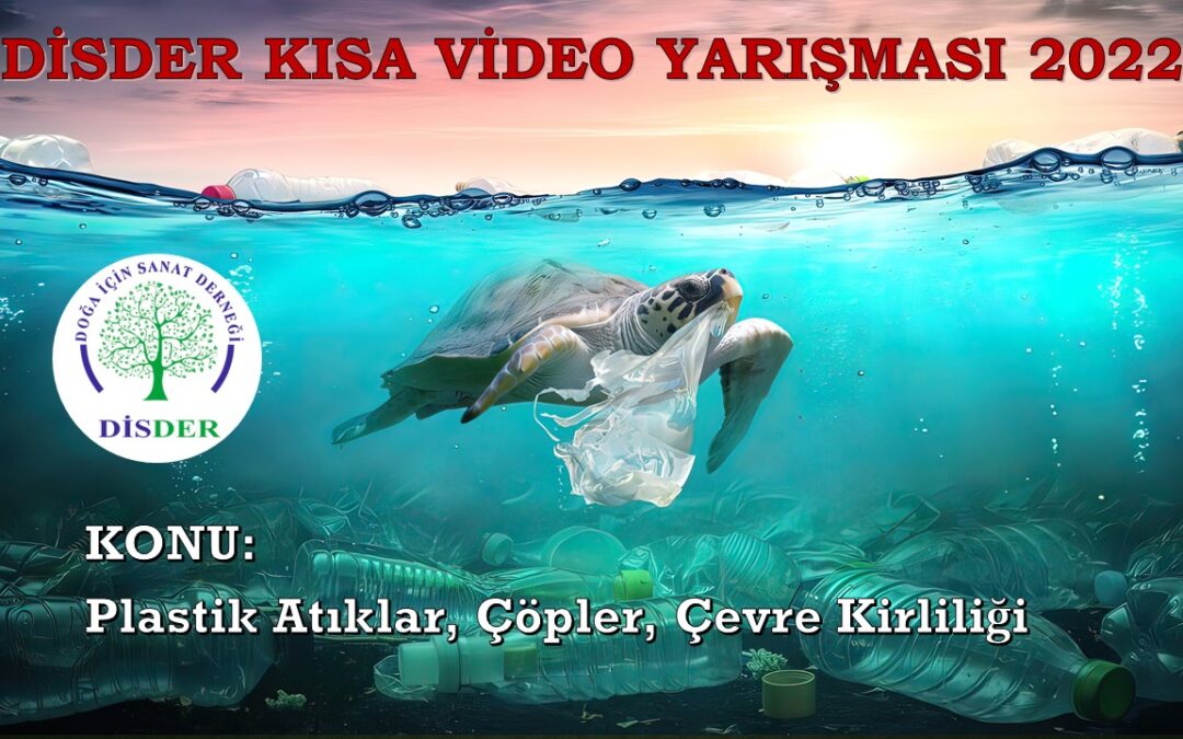 2022 Yılı Bakmak İstemeyeceğimiz Kareler Yarışması, Dereceye Giren Videolar